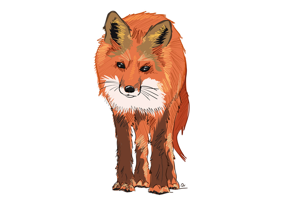 Fox_2_Full